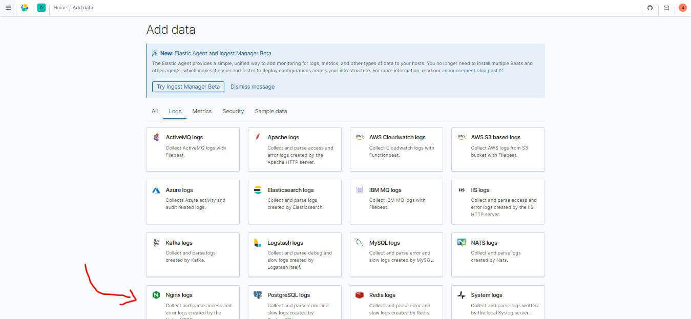 Nginx 範例 Access Log 截圖