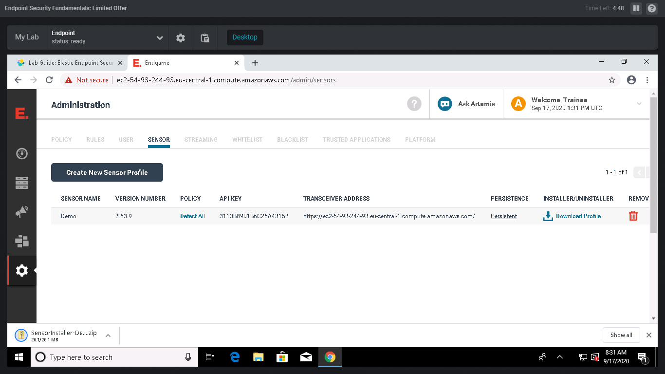 Endgame Sensor Profile 建立與下載介面截圖